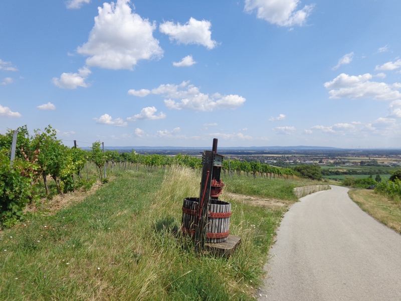 Weinpresse bei Thallern