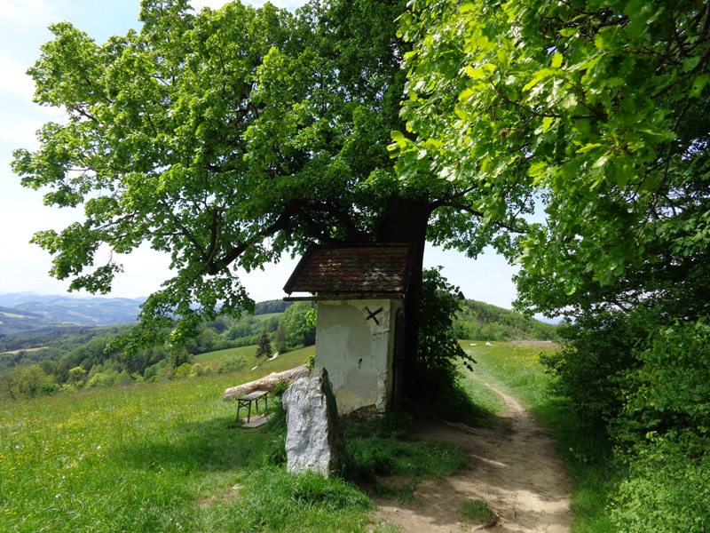 Auf der Rudolfshöhe