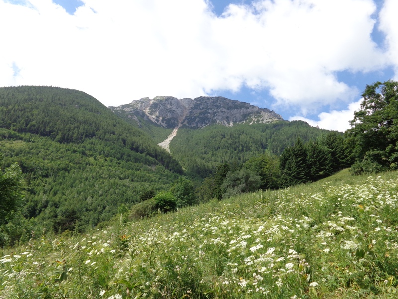 Blick zum Schneeberg