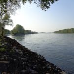 Donauufer bei Mannswörth