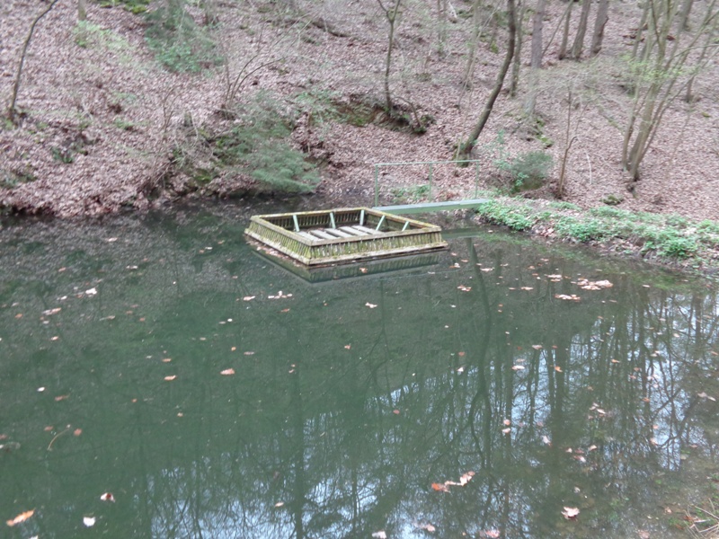 Fischteich am Bachweg