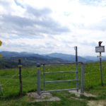 Wandern bei Haberegg