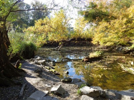 Idylle am Mauthnerwasser