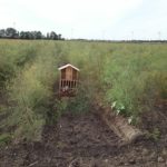 Insektenhaus am Acker