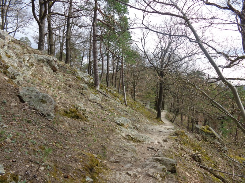 Kreuzung Vogelbergsteig