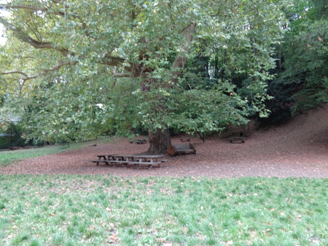 Rastplatz im Dehnepark