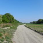 Sandweg an der Donau