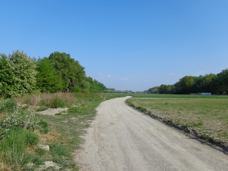 Sandweg an der Donau