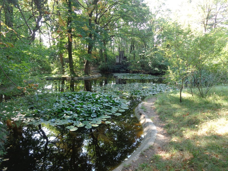 Seerosenteich und Bienenburg