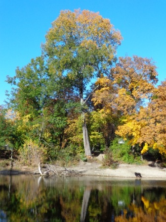 Lusthauswasser im Herbst