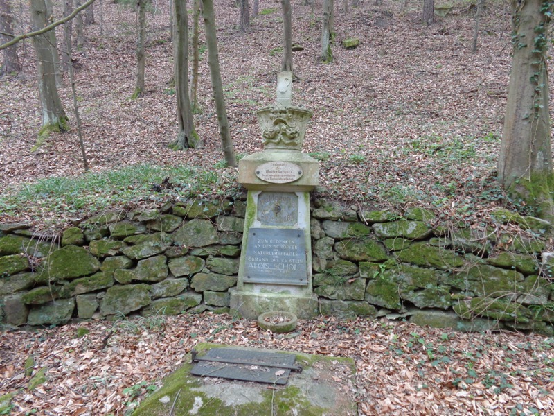 Waldquelle im Reisperbachtal