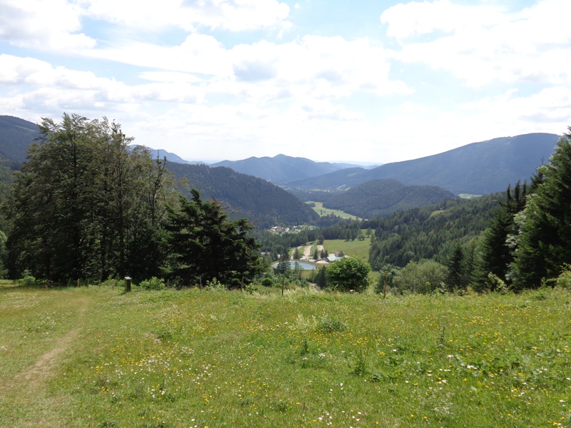 Wanderweg bei Losenheim