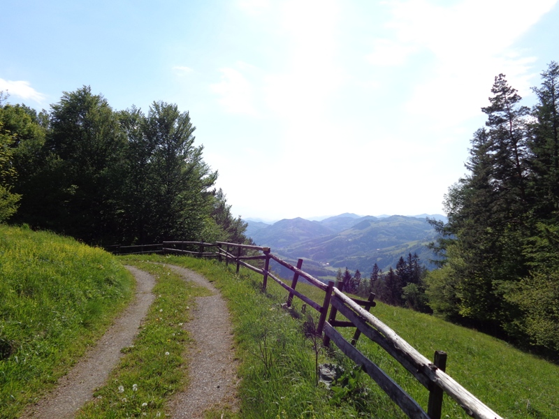 Wilhelmsburger Rundwanderweg