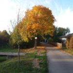 Marchfeldkanal Herbstimpressionen