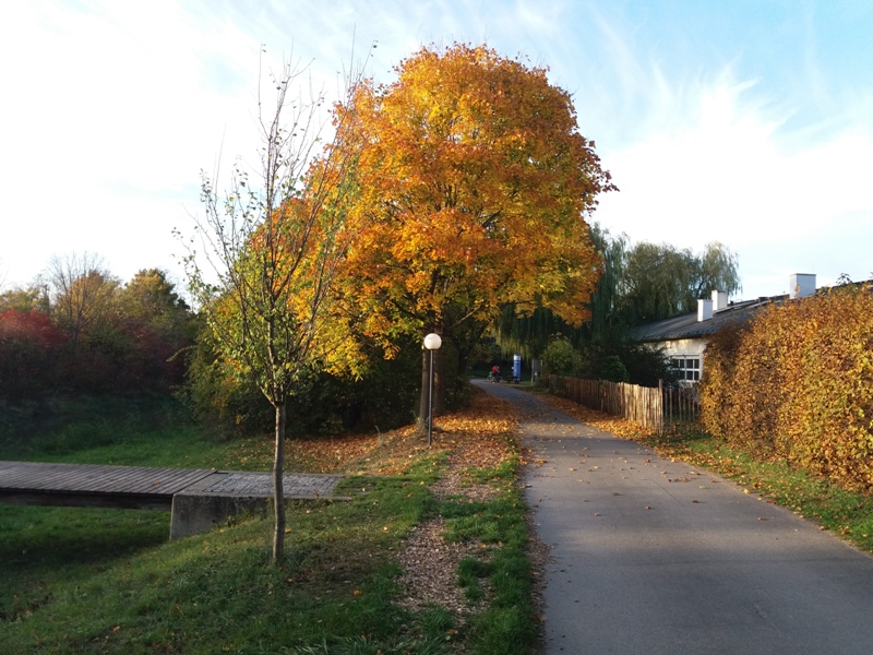 Marchfeldkanal Herbstimpressionen