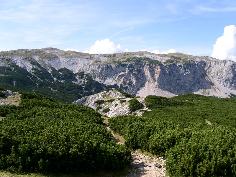 Die Lechnermauern