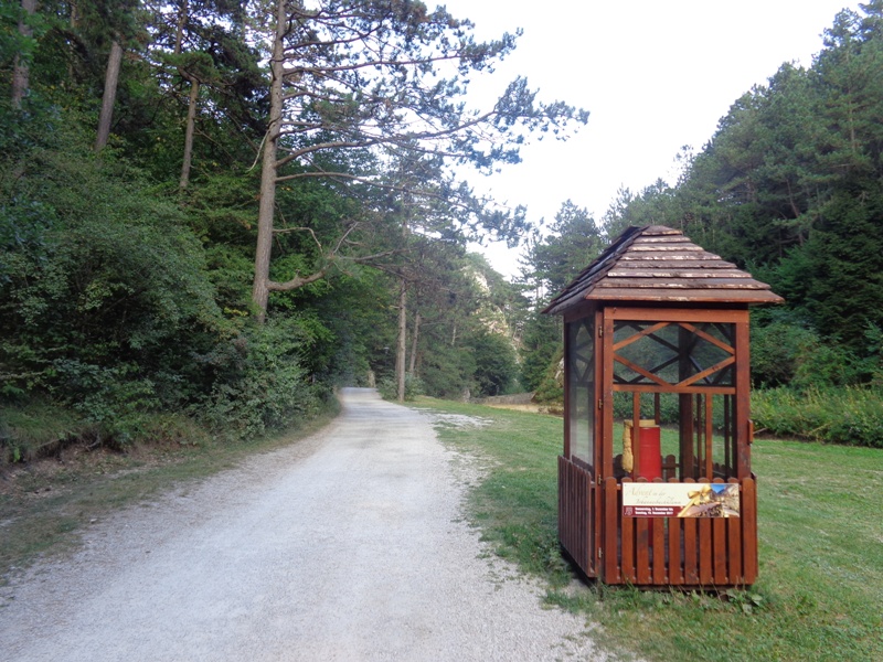 Eingang Johannesbachklamm