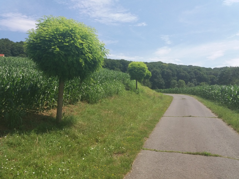 Wandern bei Poppendorf