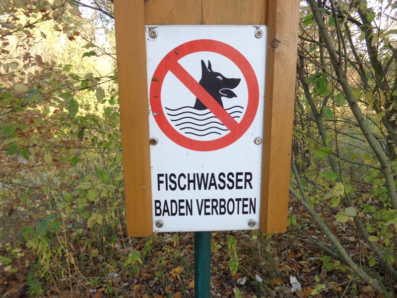 Fischwasser – Baden verboten