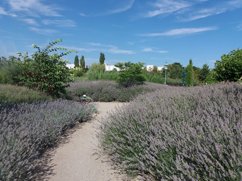 Garten der Provence