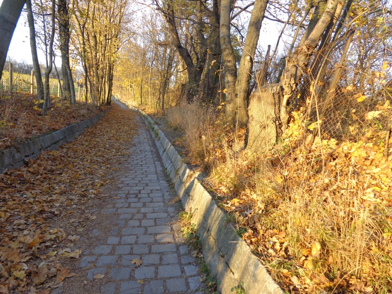 Kallusweg im Herbst