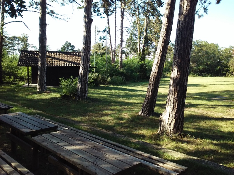 Rätselhafter Platz im Wald