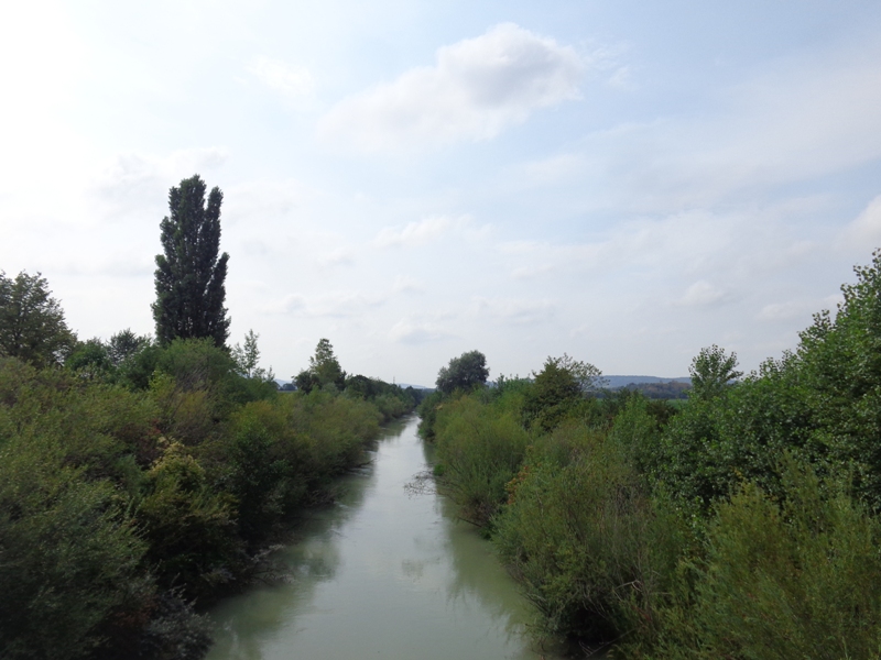 Marchfeldkanal bei Föhrenhain