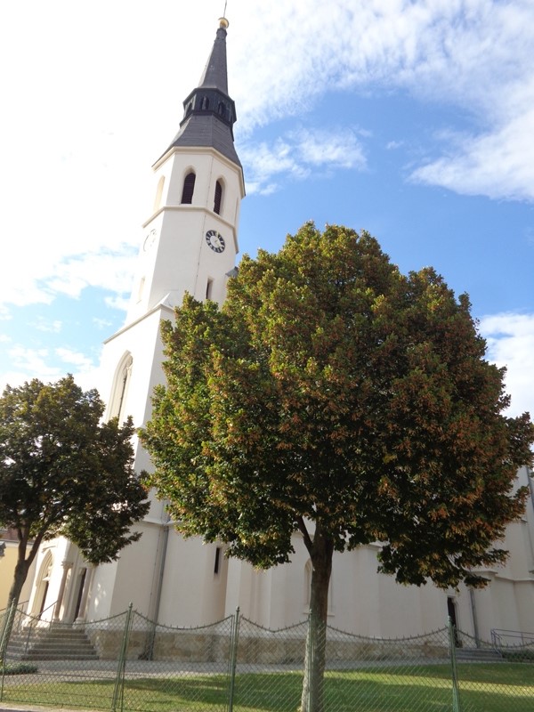 Pfarrkirche Bockfließ