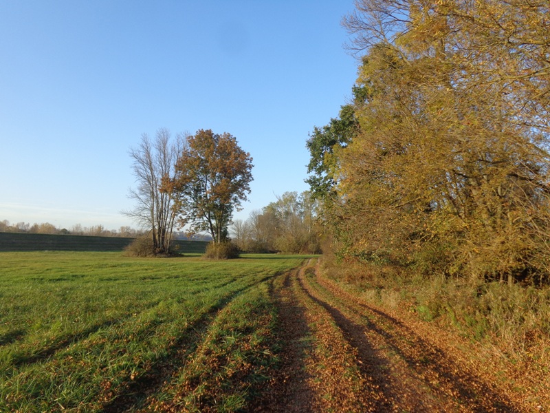 Wandern bei Mannersdorf