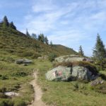 Wanderweg am Karriedel