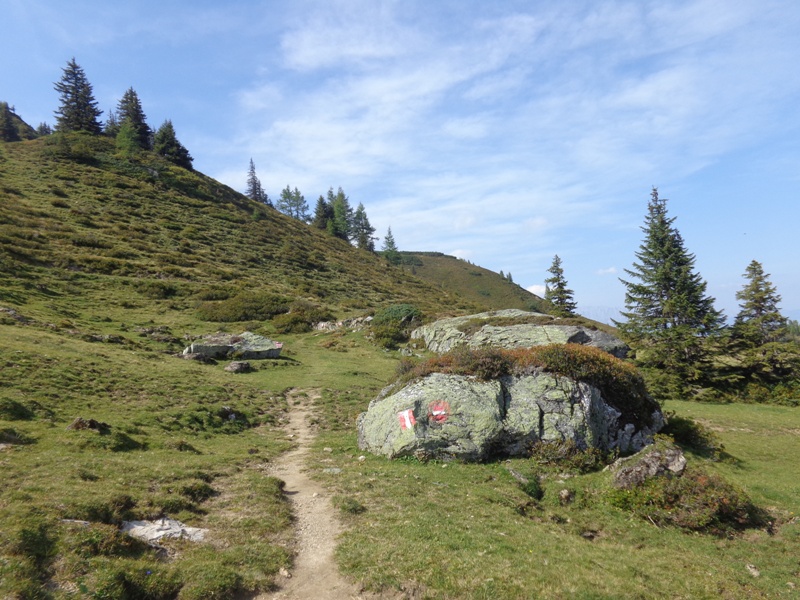 Wanderweg am Karriedel