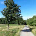 Wandern im Lainzer Tiergarten