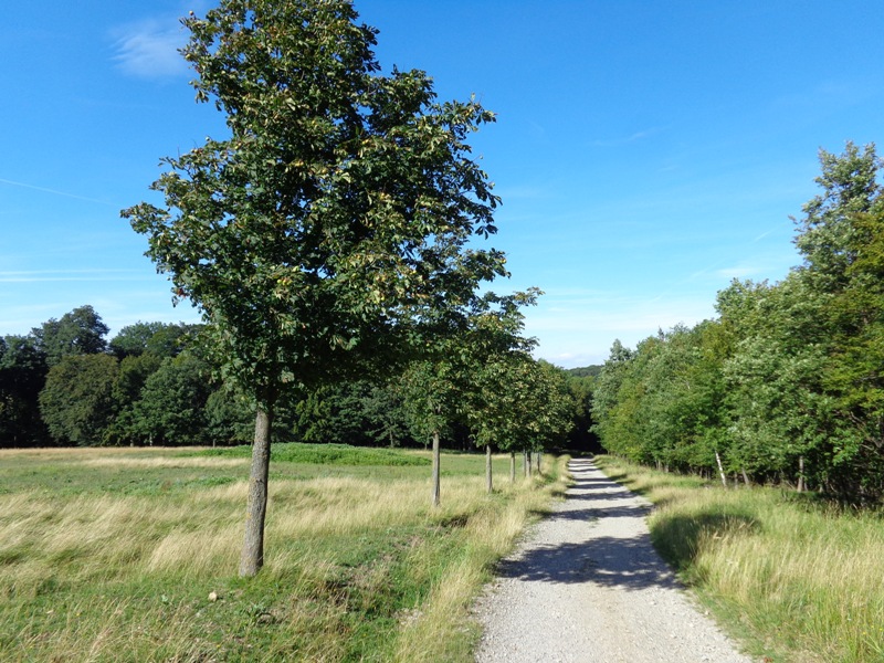 Wandern im Lainzer Tiergarten