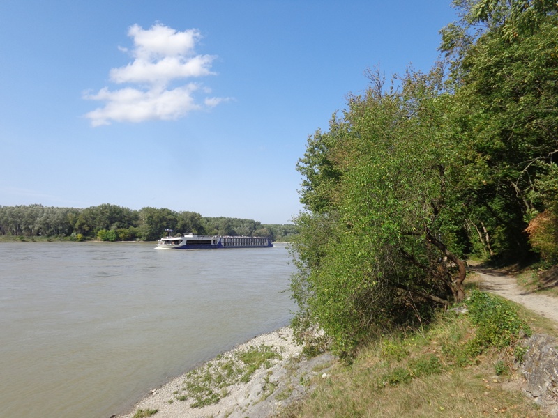 Wanderweg um den Braunsberg