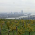 Wien und Wein