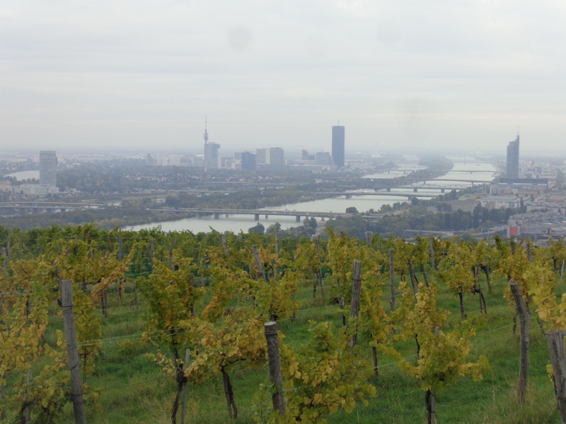 Wien und Wein