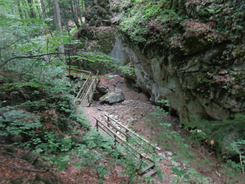 Schlucht am Dürnbach