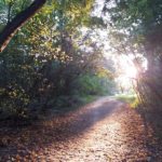 Herbst im Prater