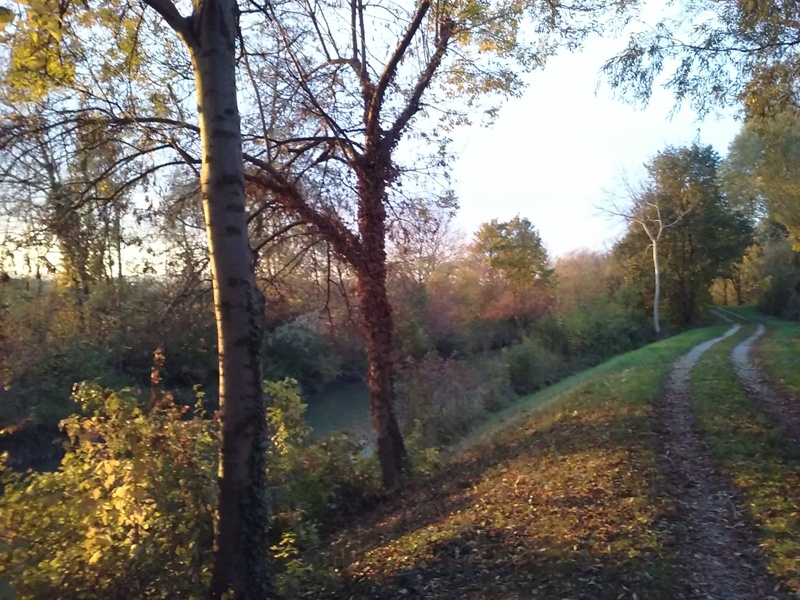 Herbstliche Abendsonne am Rußbach