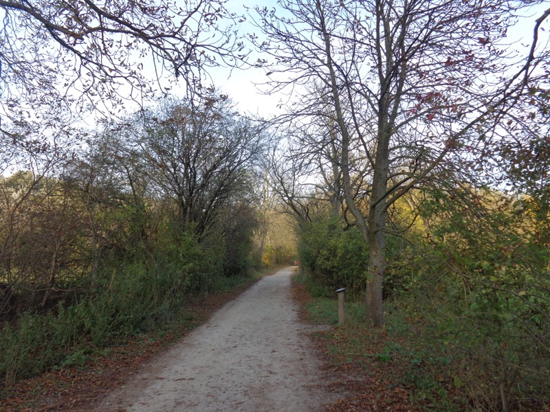 Naturlehrpfad in der Lobau