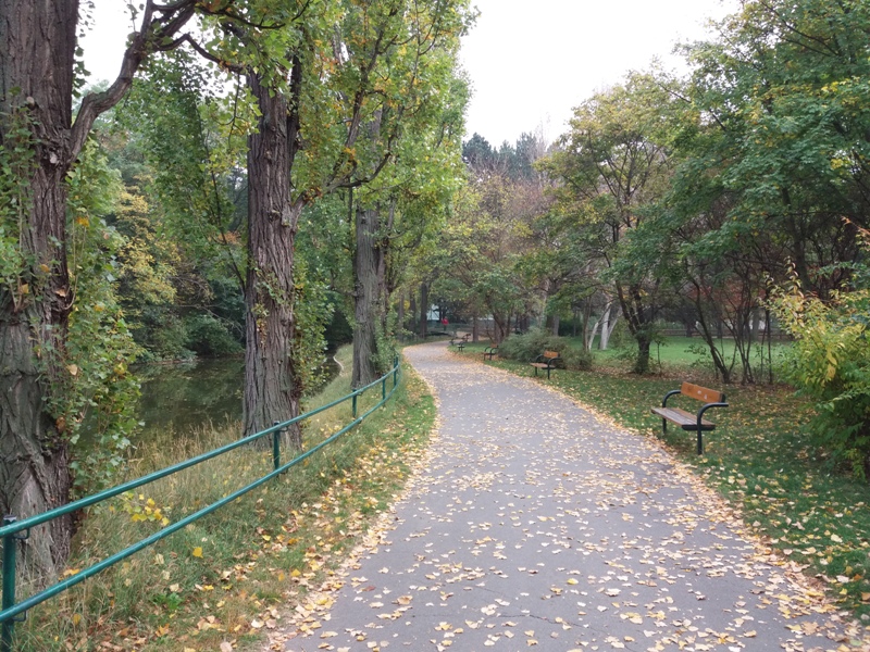 Spazierweg im Prater