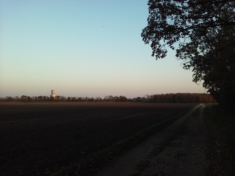 Am Feld neben dem Rußbach