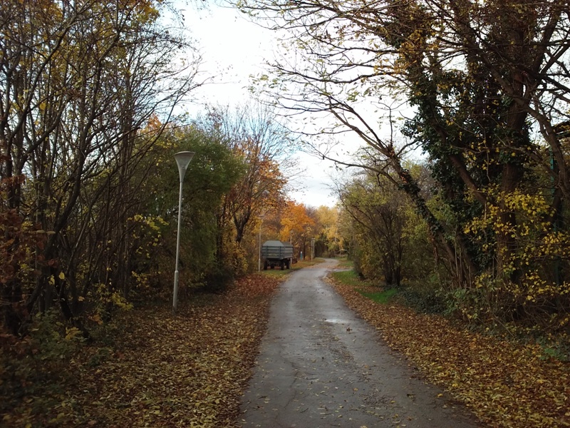 Am Marchfeldkanal im Herbst