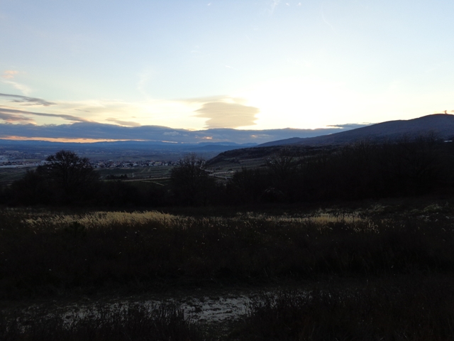 Blick vom Eichkogel