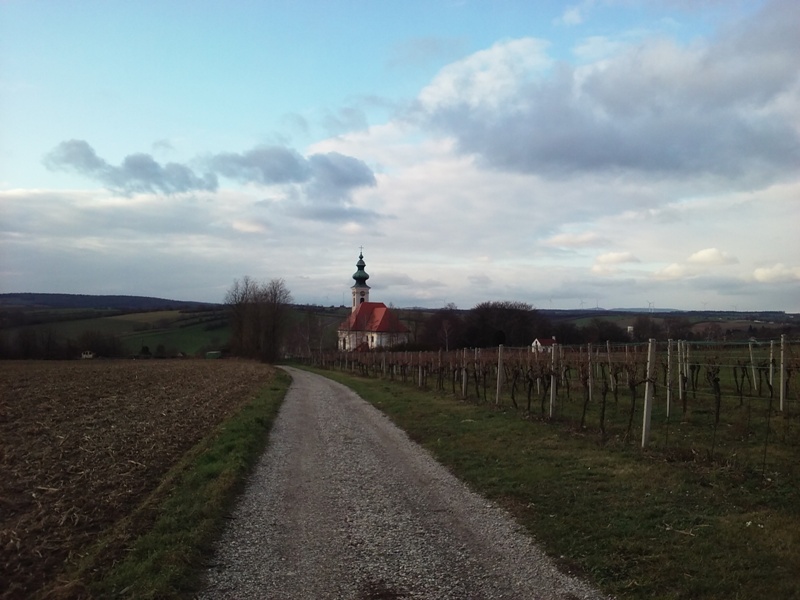 Herbstwanderung in Wolfpassing