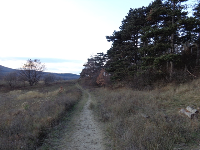 Spätherbst auf dem Eichkogel