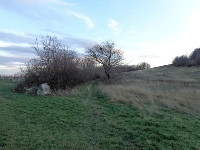 Rundweg um den Eichkogel