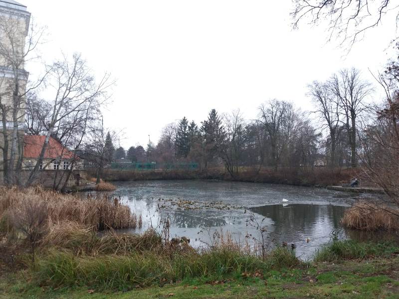 Schlossteich Wolkersdorf