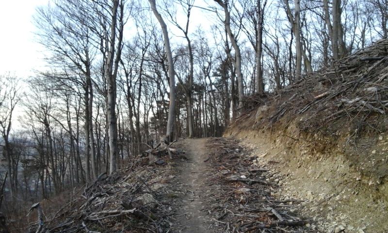 Wanderweg am Kahlenberg