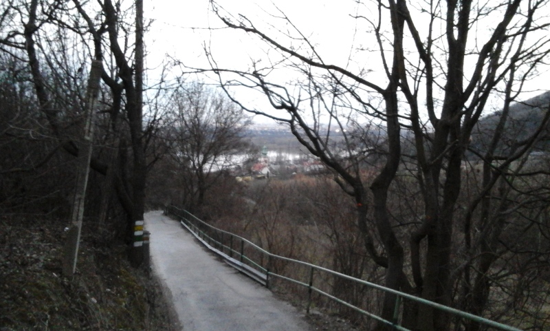 Waldbachsteig nach Kahlenbergerdorf